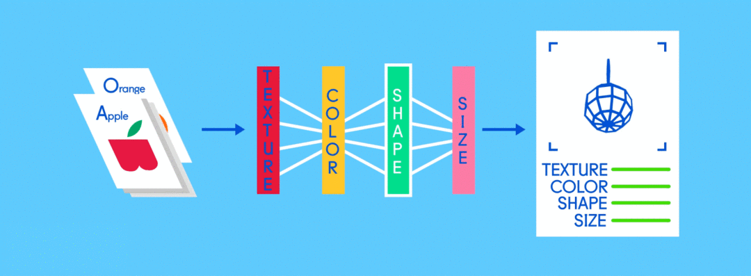 Reti Neurali Convoluzionali | Il Deep Learning ispirato alla corteccia visiva