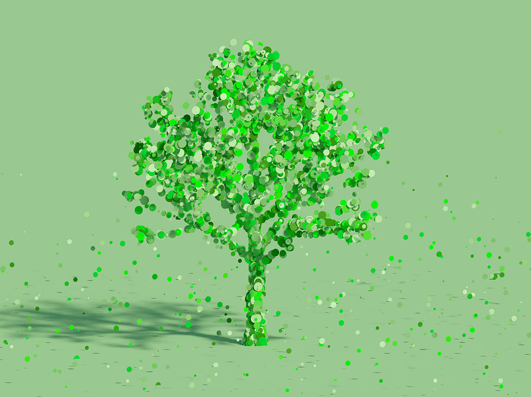 Le tre C della Dichiarazione non Finanziaria: così la sostenibilità ha un valore