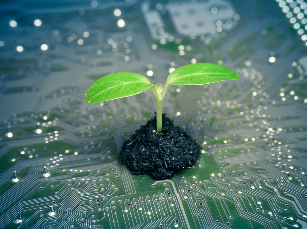 Ecologia 3.0: la sostenibilità digitale